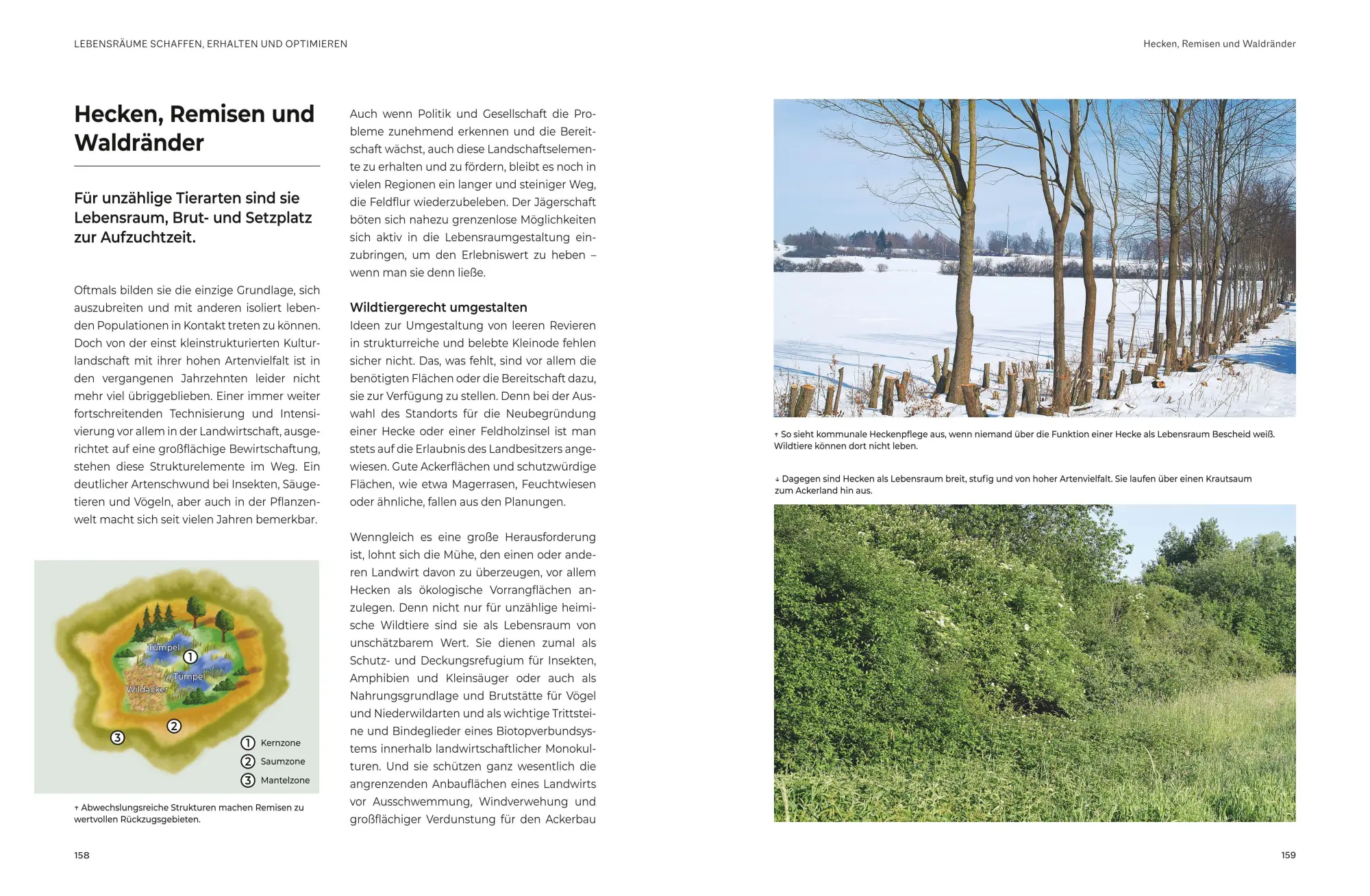 Bild: 9783967471427 | Das große BLV Handbuch Niederwild | Hege und Jagd | Matthias Meyer