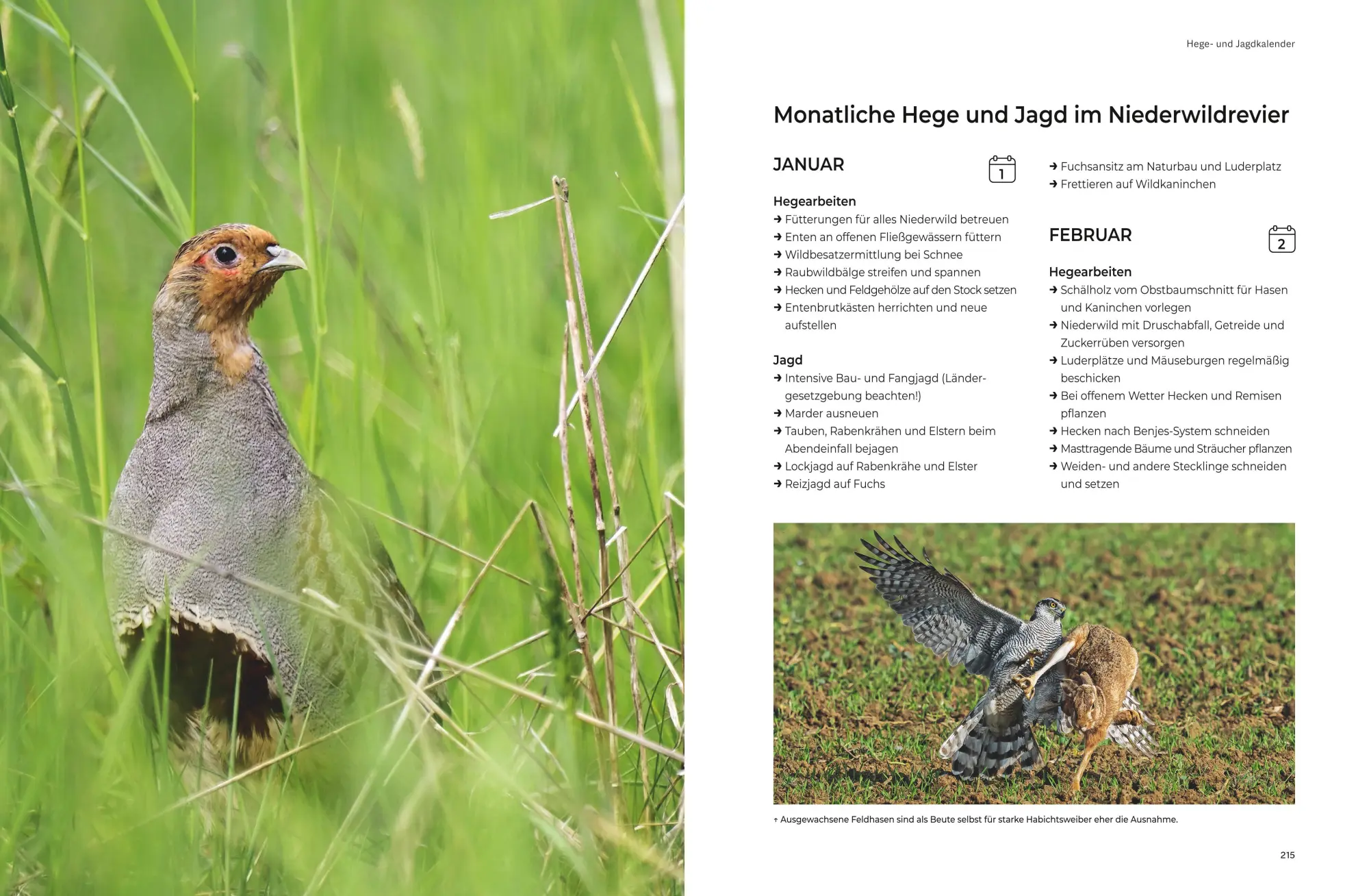 Bild: 9783967471427 | Das große BLV Handbuch Niederwild | Hege und Jagd | Matthias Meyer