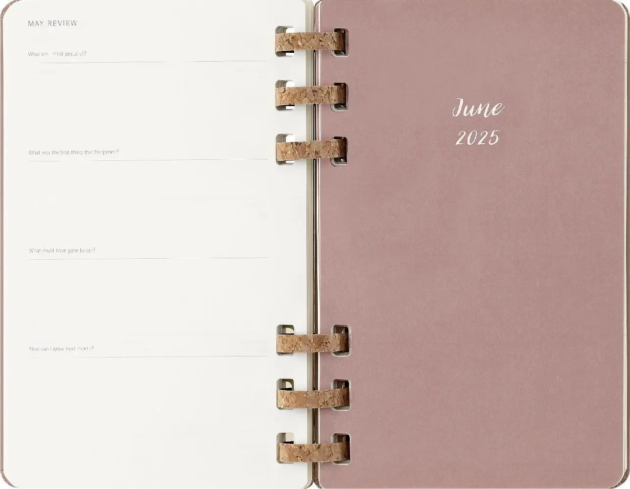 Bild: 8056999271527 | Moleskine 12 Monate Planer mit Spiralbindung, L/A5 | Buch | 200 S.