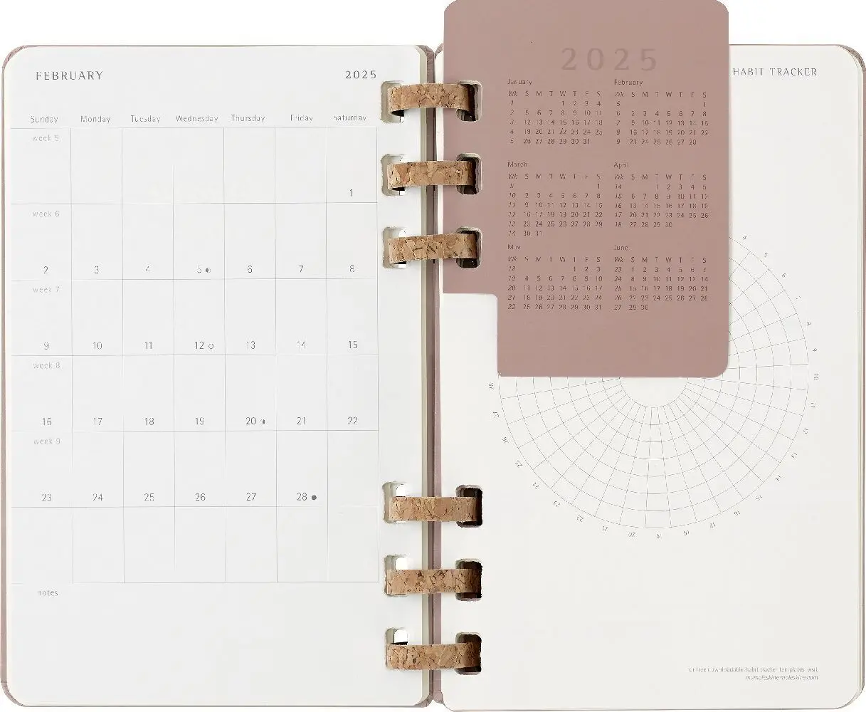Bild: 8056999271527 | Moleskine 12 Monate Planer mit Spiralbindung, L/A5 | Buch | 200 S.