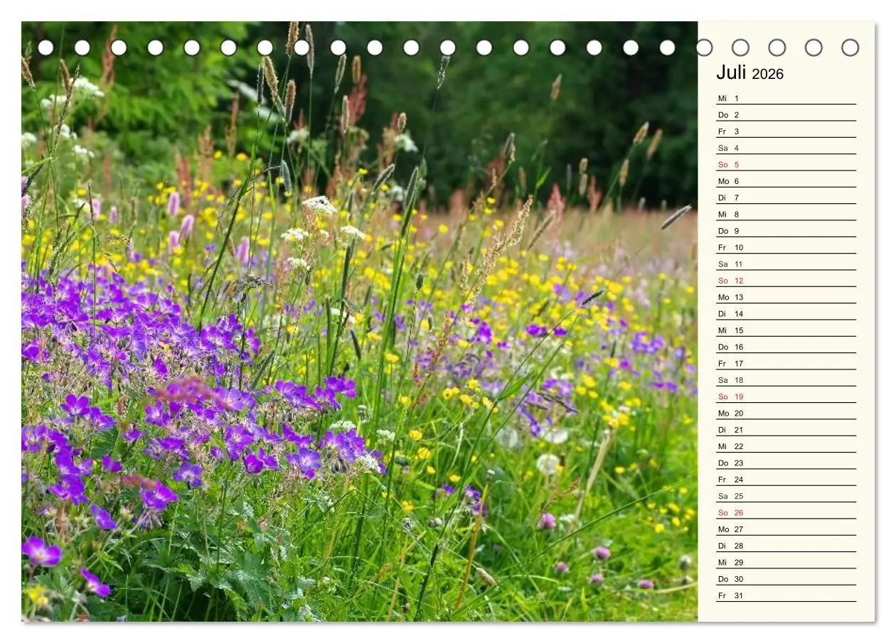 Bild: 9783457991527 | Der Harz - Sagenumwoben und Wildromantisch (Tischkalender 2026 DIN...