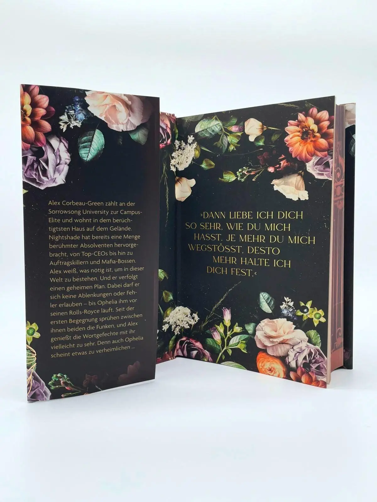 Bild: 9783651001527 | Nightshade | Autumn Woods | Buch | 464 S. | Deutsch | 2026