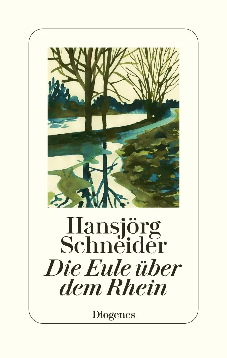 Cover: 9783257071627 | Die Eule über dem Rhein | Prosa | Hansjörg Schneider | Buch | 288 S.