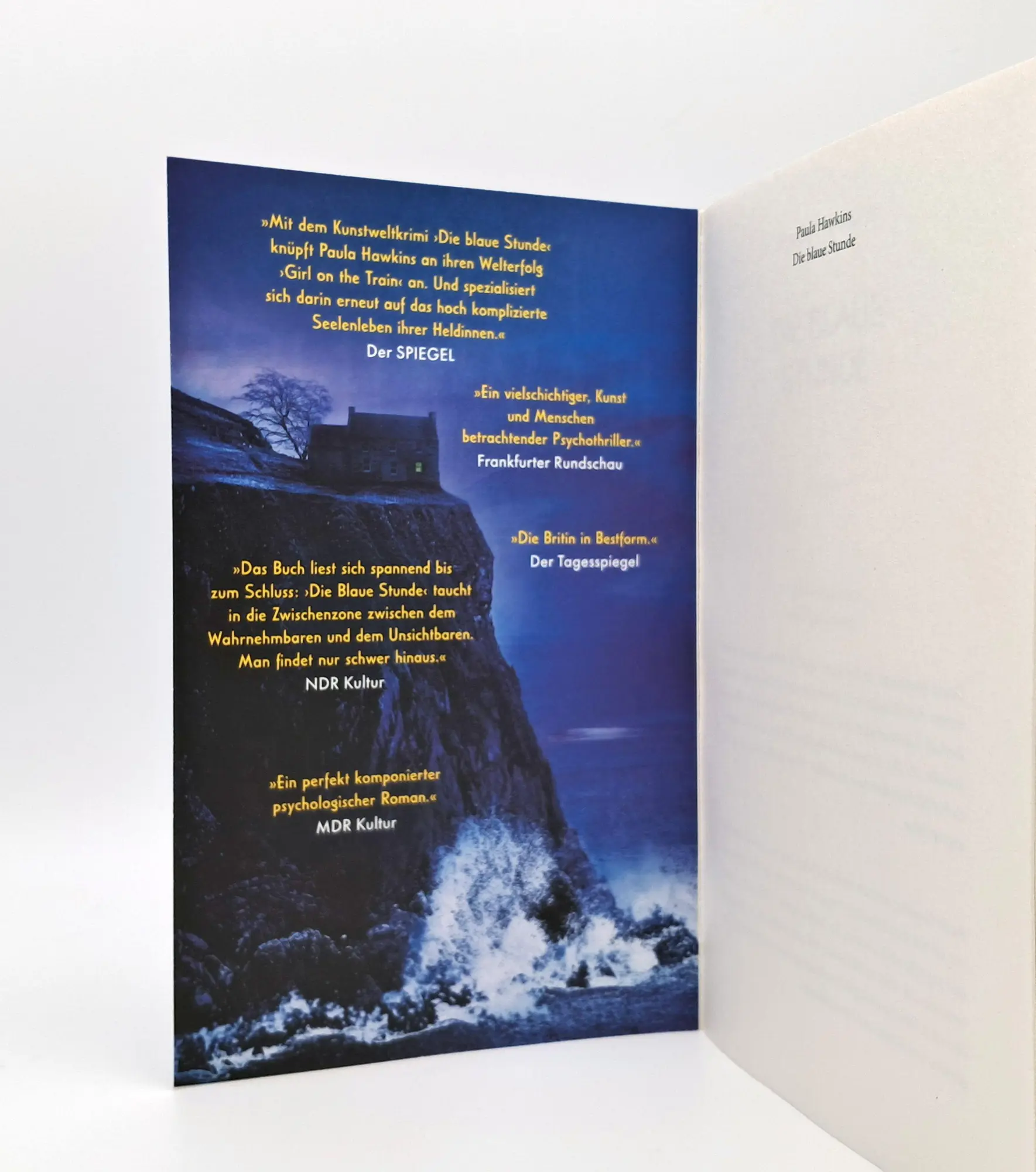 Bild: 9783423221627 | Die blaue Stunde | Paula Hawkins | Taschenbuch | 384 S. | Deutsch