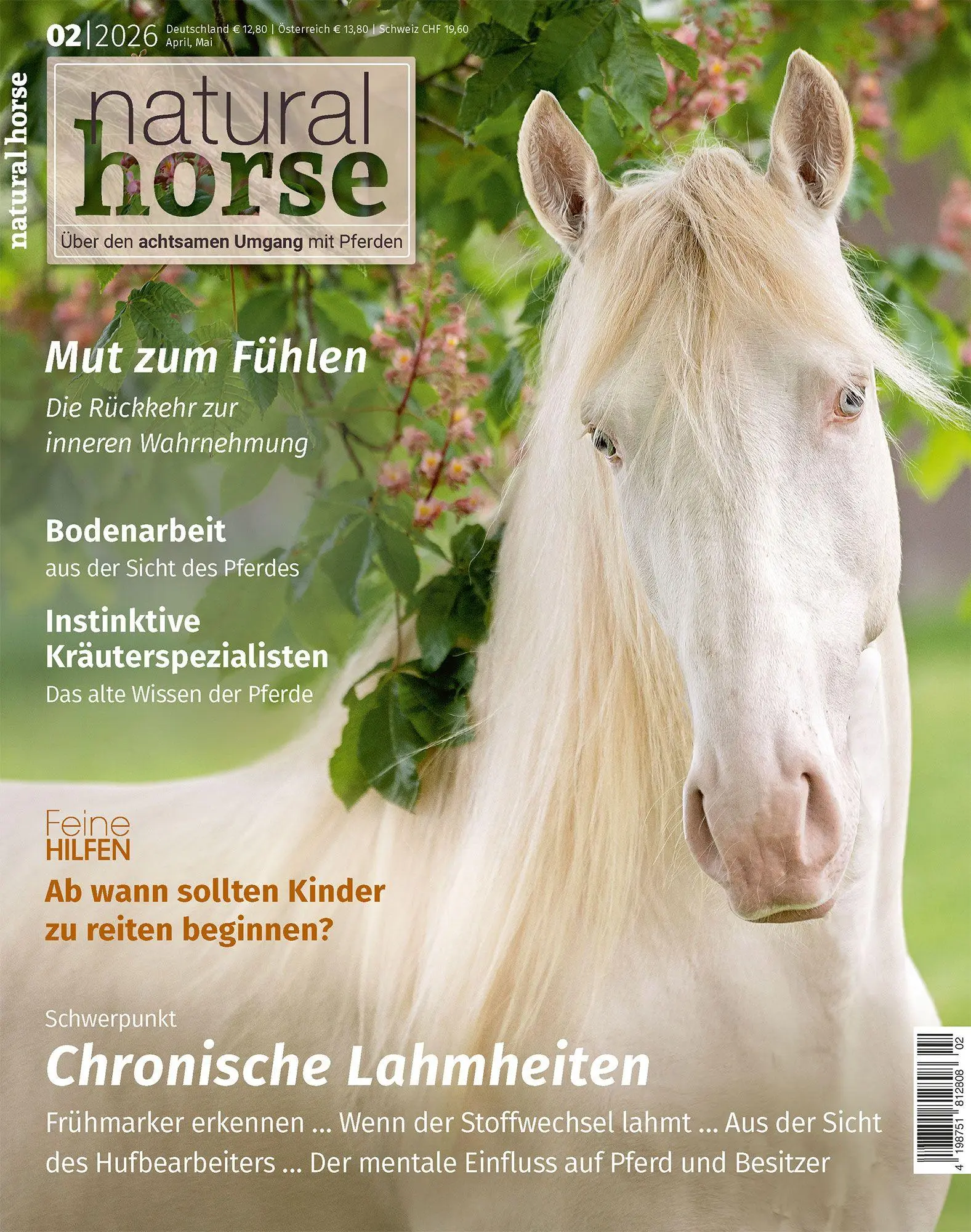 Cover: 9783958471627 | Natural Horse 62 | Chronische Lahmheiten | Martina Kiss | Taschenbuch