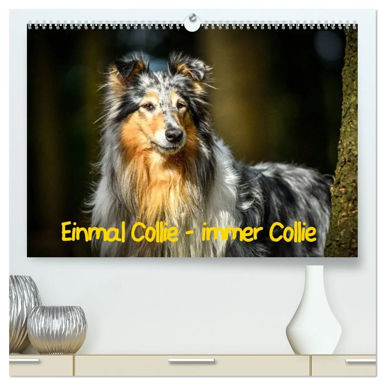 Cover: 9783457721827 | Einmal Collie - immer Collie (hochwertiger Premium Wandkalender...