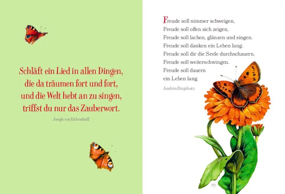 Bild: 9783649641827 | Alle Vögel singen heute nur für dich | Taschenbuch | 20 S. | Deutsch