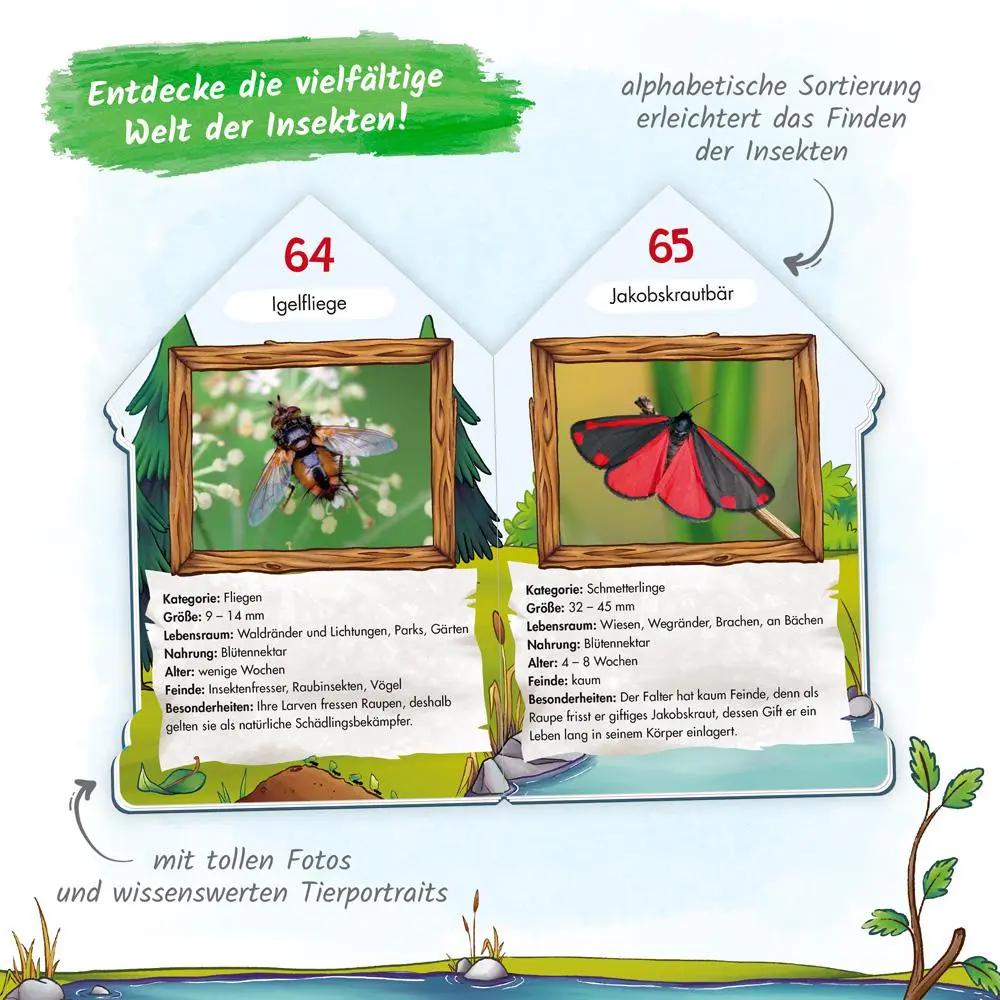 Bild: 9783965521827 | Trötsch Buch in Hausform 101 Heimische Insekten von A bis Z, die du...