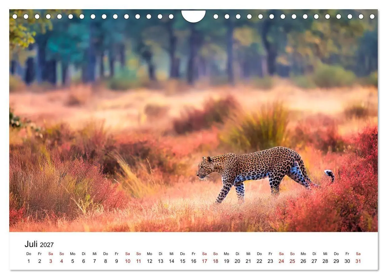 Bild: 9783516801927 | Gefleckte Schatten - Im Bann der Leoparden (Wandkalender 2027 DIN...