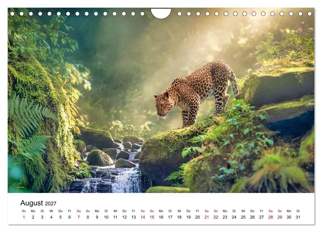 Bild: 9783516801927 | Gefleckte Schatten - Im Bann der Leoparden (Wandkalender 2027 DIN...