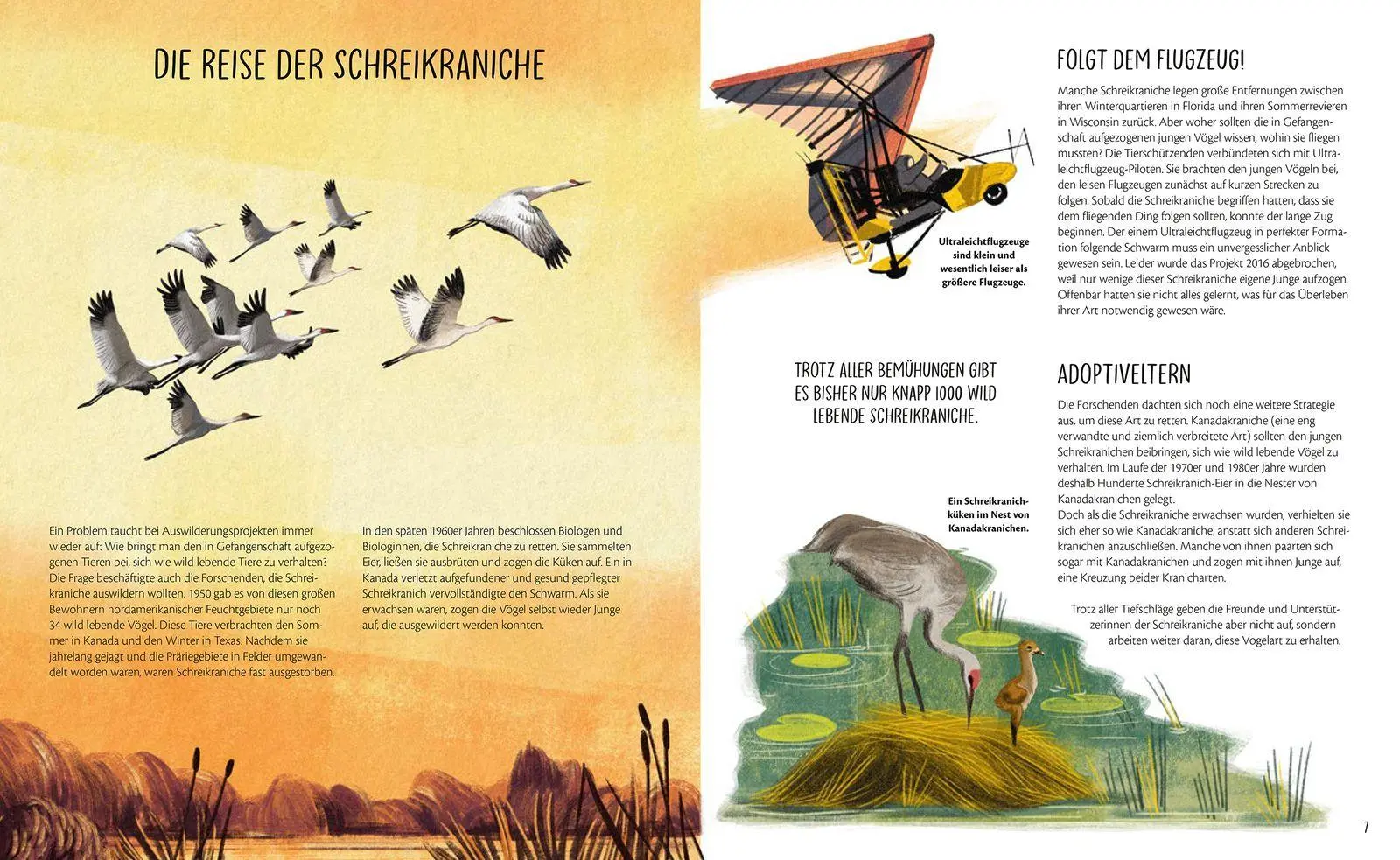 Bild: 9783737361927 | Zurück in die Wildnis | David A. Steen | Buch | 74 S. | Deutsch | 2023