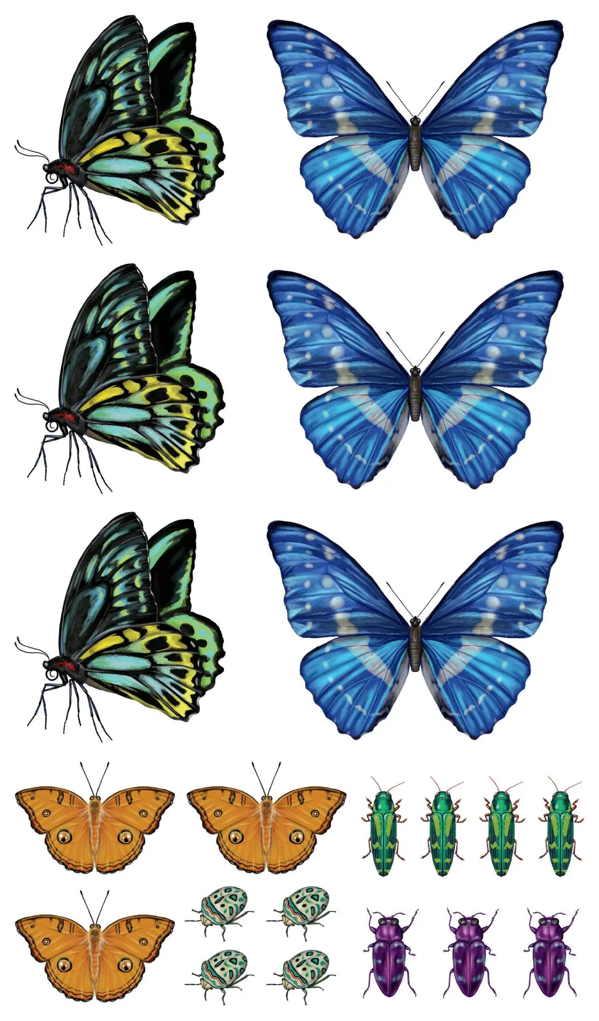 Bild: 9781635862027 | Fluttery, Friendly Tattoo Butterflies and Other Insects | Roehrig