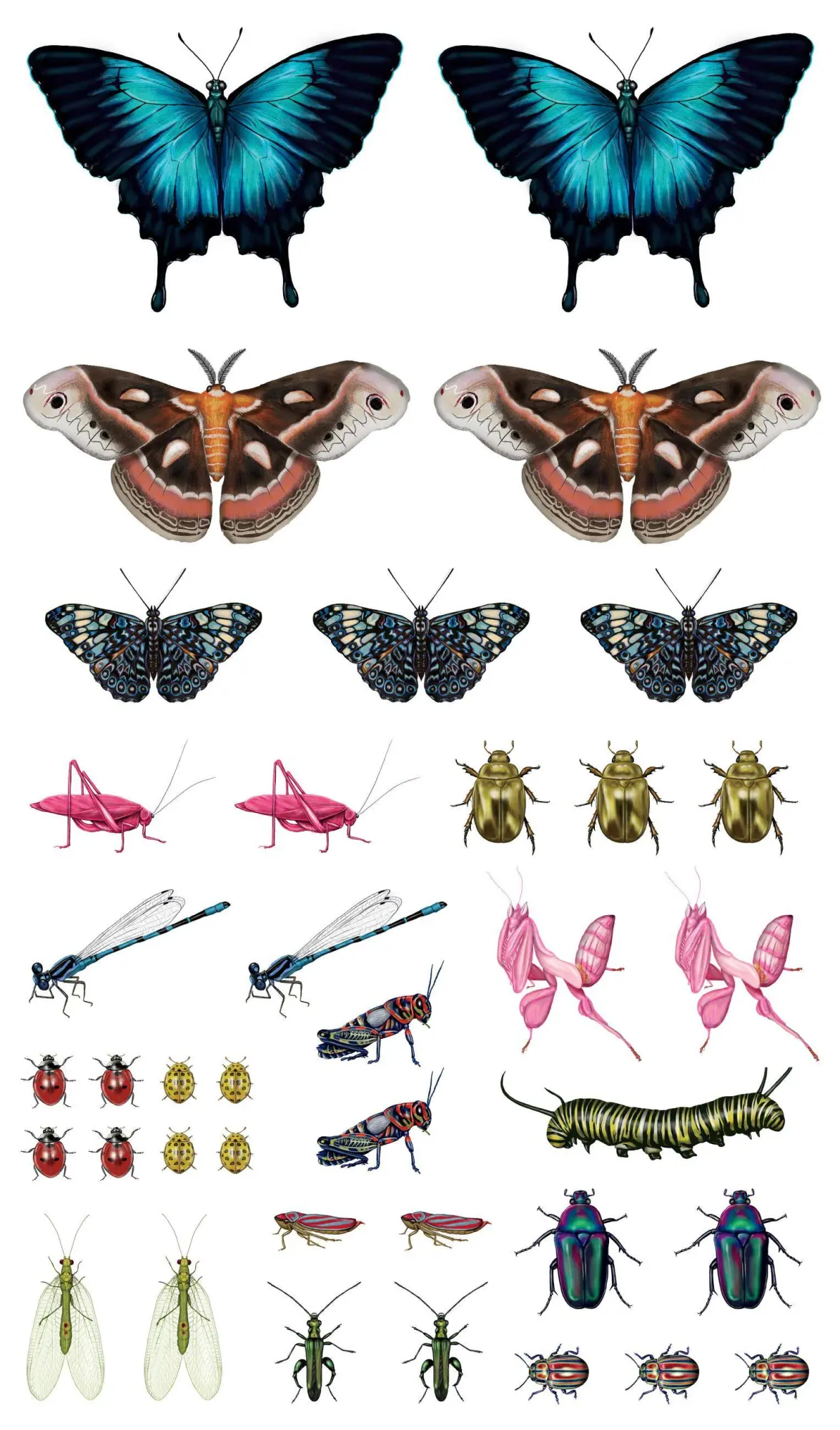 Bild: 9781635862027 | Fluttery, Friendly Tattoo Butterflies and Other Insects | Roehrig