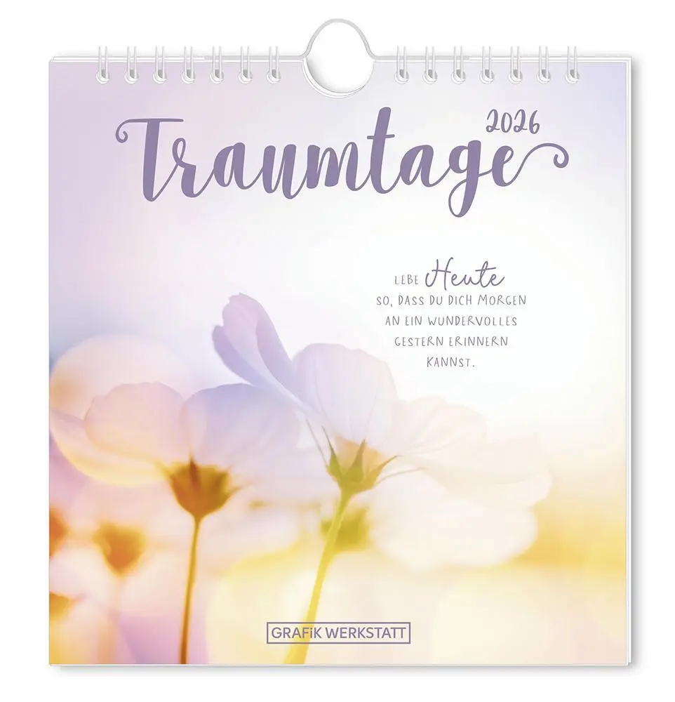 Cover: 9783986362027 | Postkartenkalender 2026 Traumtage | Postkartenkalender | Original