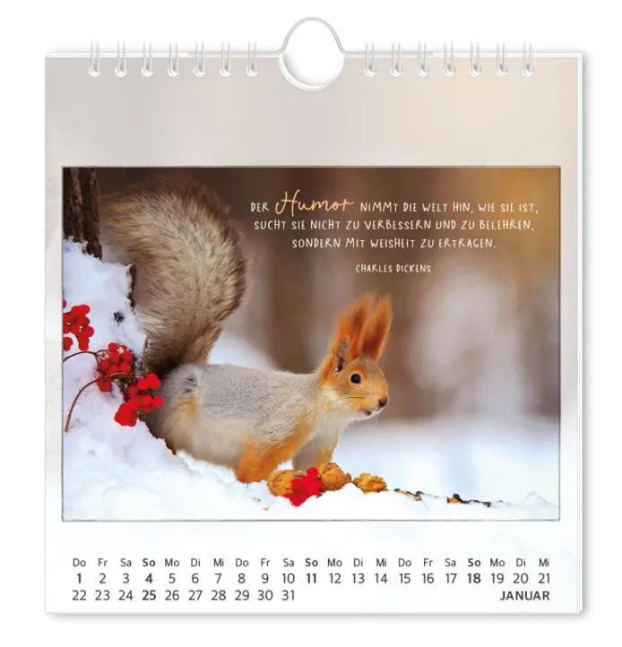 Bild: 9783986362027 | Postkartenkalender 2026 Traumtage | Postkartenkalender | Original