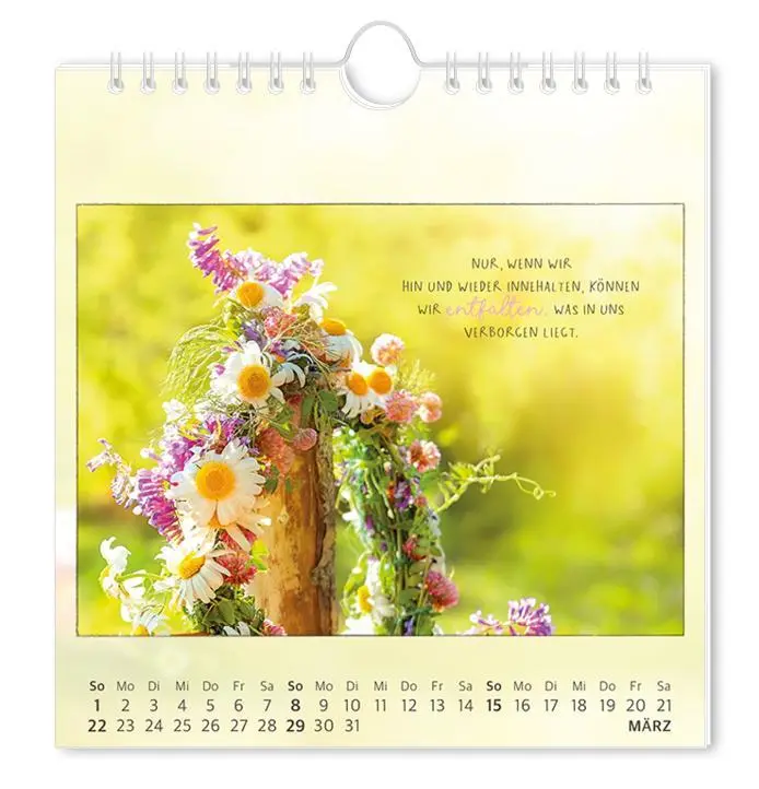Bild: 9783986362027 | Postkartenkalender 2026 Traumtage | Postkartenkalender | Original