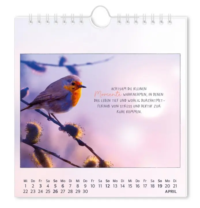 Bild: 9783986362027 | Postkartenkalender 2026 Traumtage | Postkartenkalender | Original