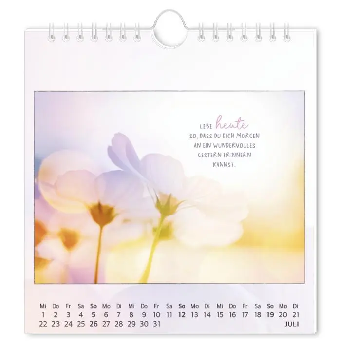 Bild: 9783986362027 | Postkartenkalender 2026 Traumtage | Postkartenkalender | Original