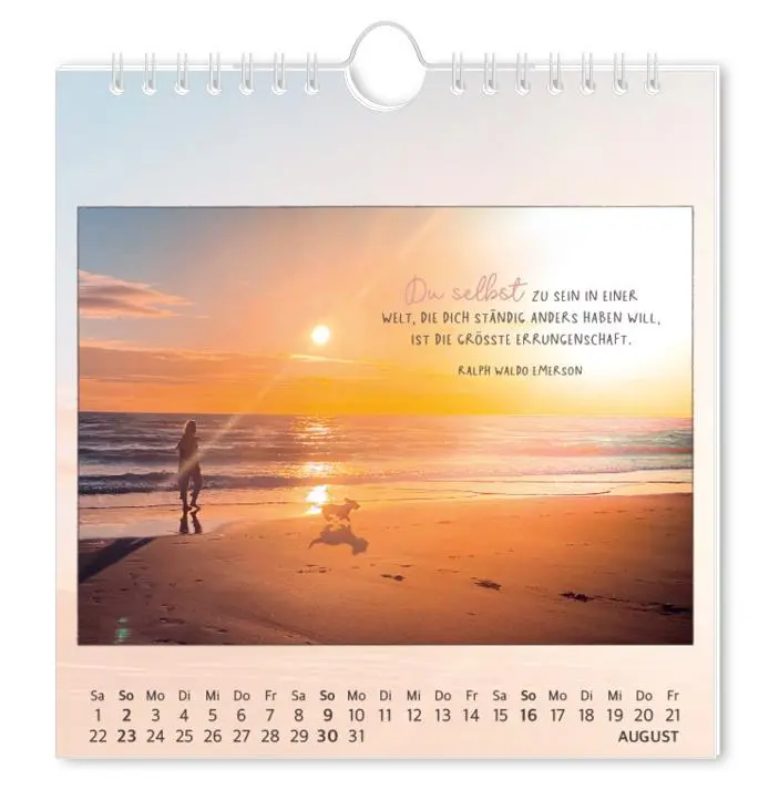 Bild: 9783986362027 | Postkartenkalender 2026 Traumtage | Postkartenkalender | Original