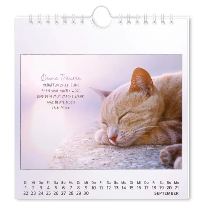 Bild: 9783986362027 | Postkartenkalender 2026 Traumtage | Postkartenkalender | Original
