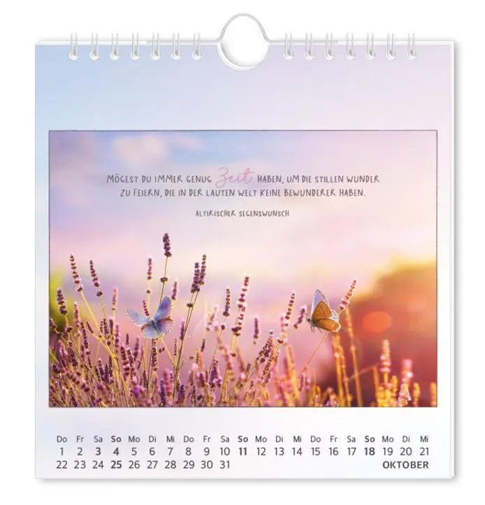 Bild: 9783986362027 | Postkartenkalender 2026 Traumtage | Postkartenkalender | Original