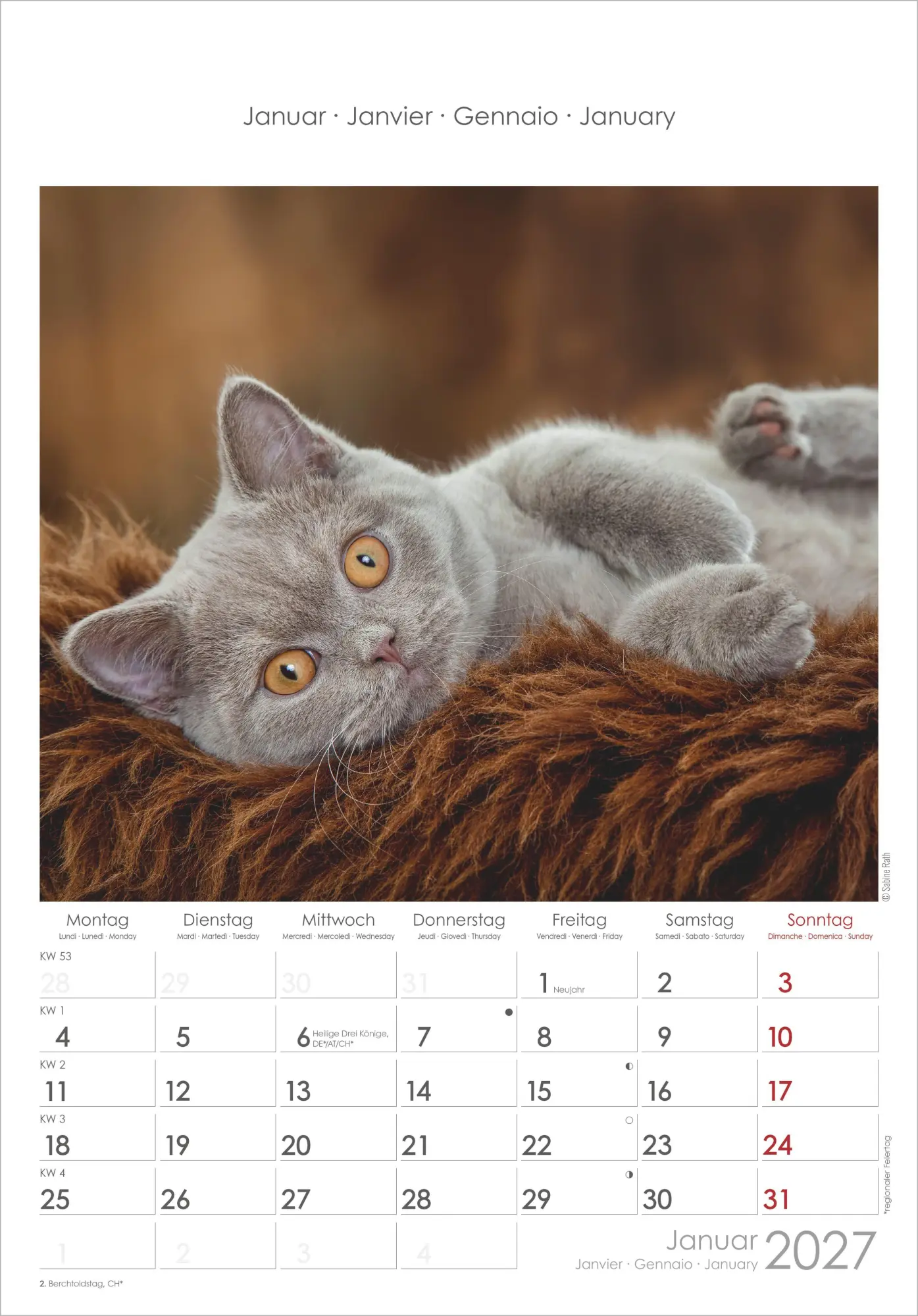 Bild: 4069095012127 | Katzen 2027 | Neumann Verlage GmbH &amp; Co KG | Kalender | Spiralbindung