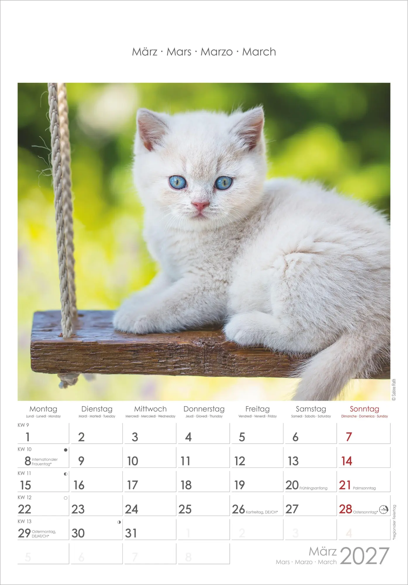 Bild: 4069095012127 | Katzen 2027 | Neumann Verlage GmbH &amp; Co KG | Kalender | Spiralbindung