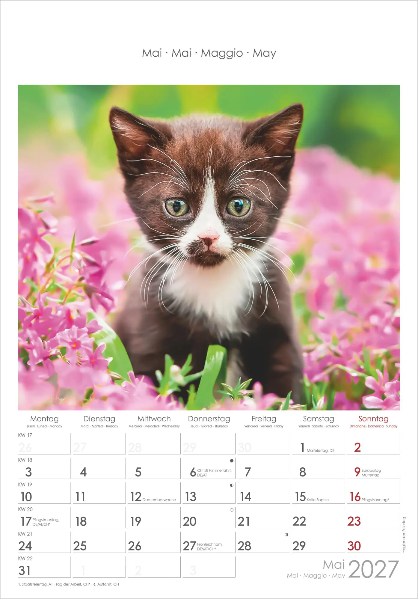 Bild: 4069095012127 | Katzen 2027 | Neumann Verlage GmbH &amp; Co KG | Kalender | Spiralbindung