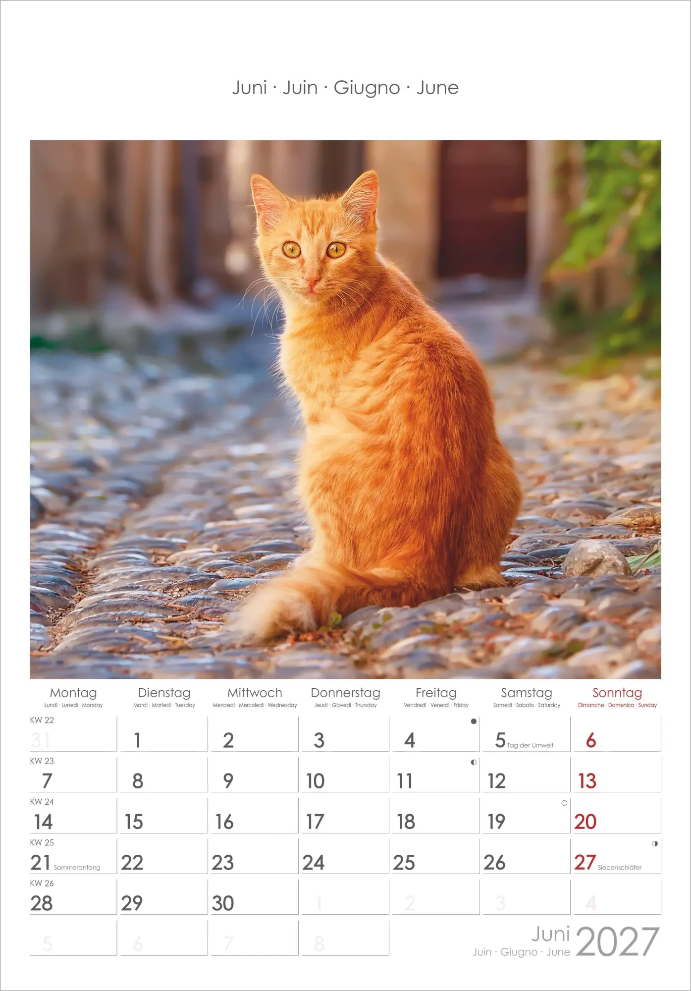 Bild: 4069095012127 | Katzen 2027 | Neumann Verlage GmbH &amp; Co KG | Kalender | Spiralbindung