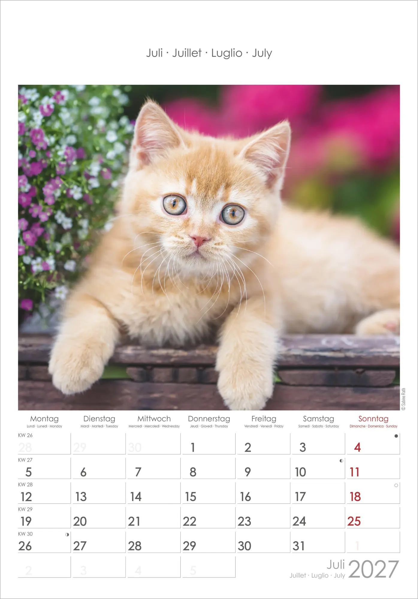 Bild: 4069095012127 | Katzen 2027 | Neumann Verlage GmbH &amp; Co KG | Kalender | Spiralbindung