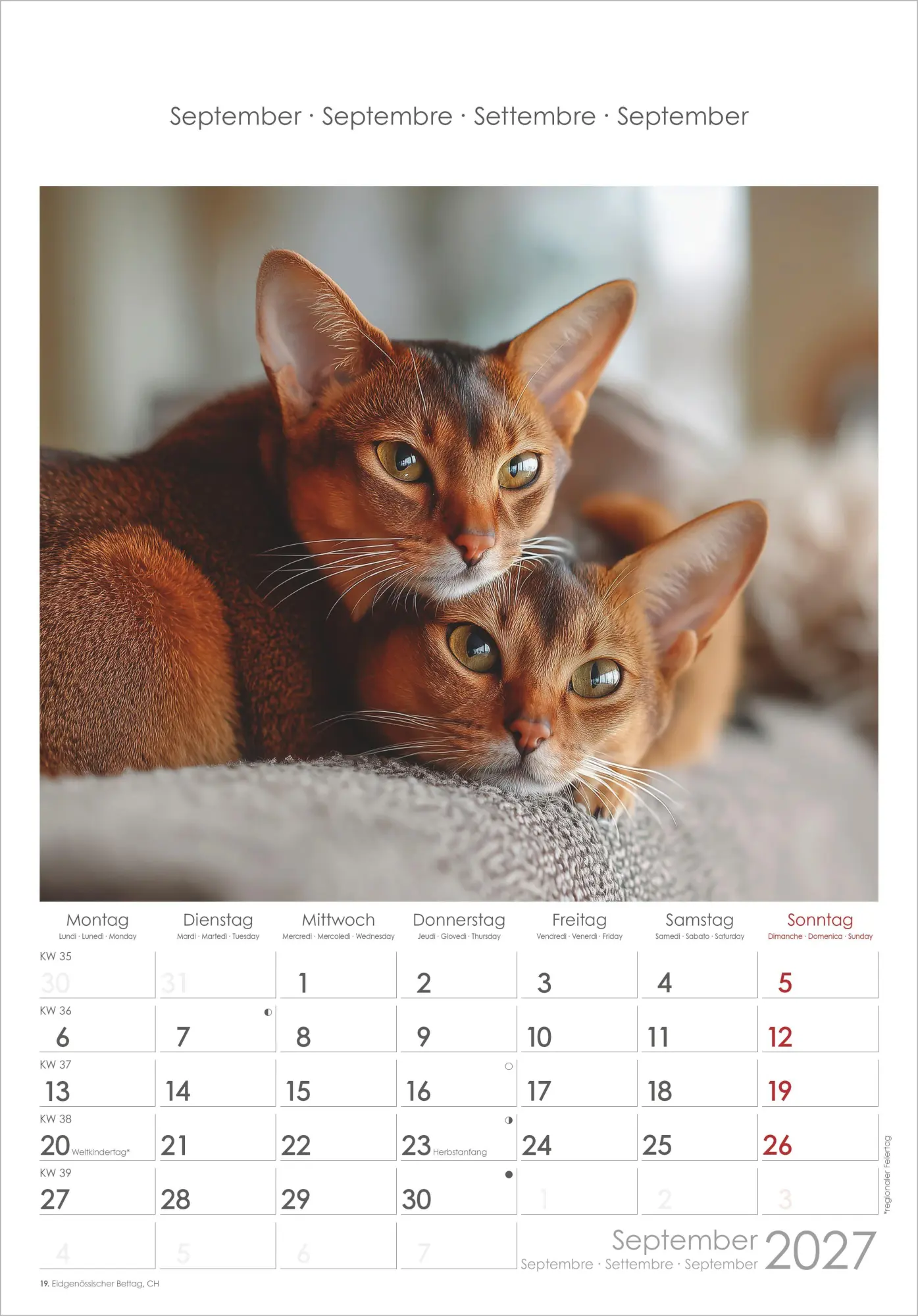 Bild: 4069095012127 | Katzen 2027 | Neumann Verlage GmbH &amp; Co KG | Kalender | Spiralbindung