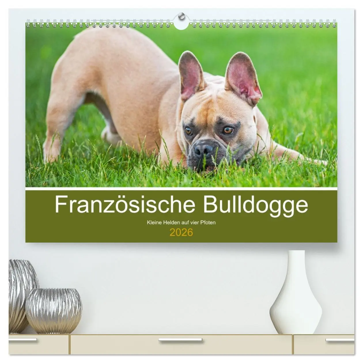 Cover: 9783457452127 | Französische Bulldogge - Kleine Helden auf vier Pfoten...