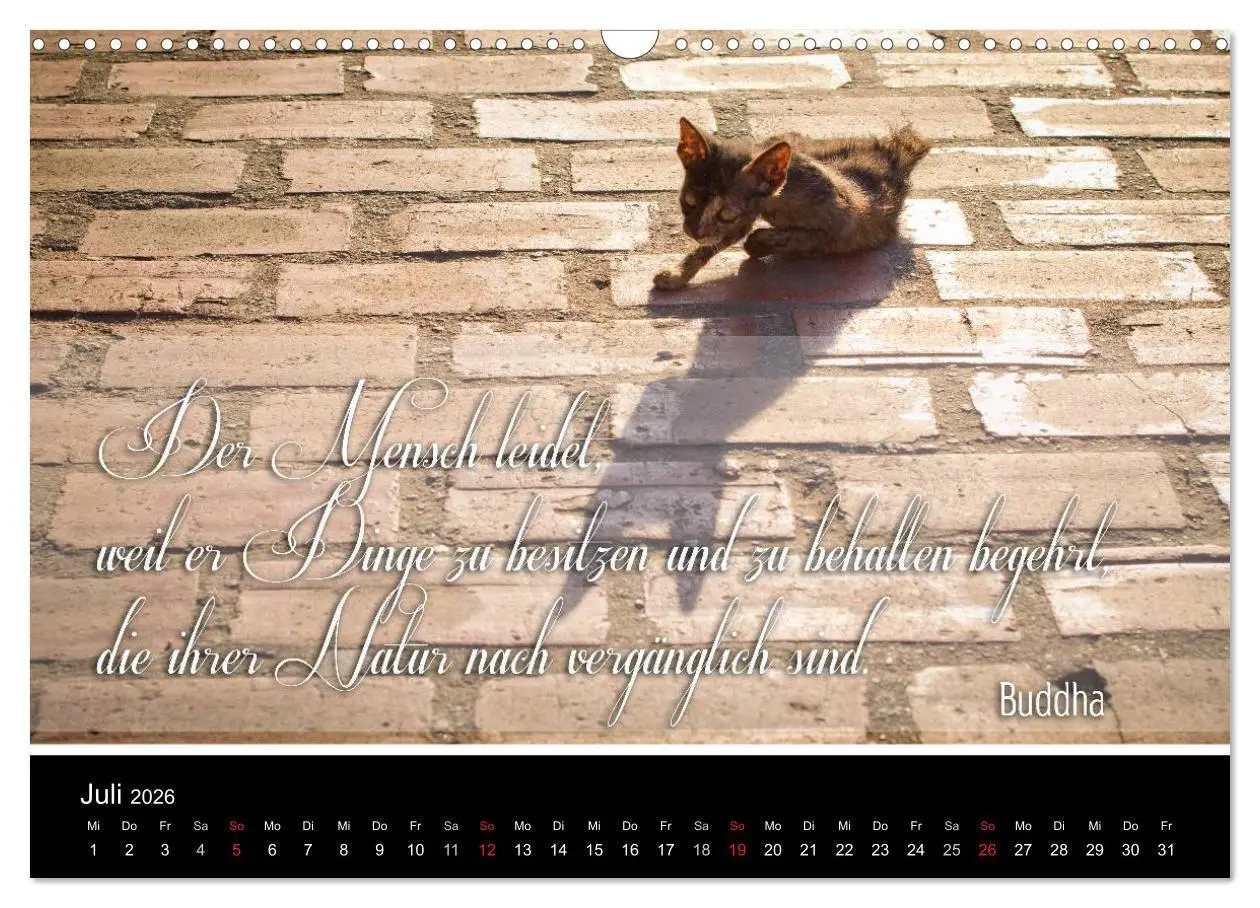Bild: 9783516232127 | Buddhistische Weisheiten (Wandkalender 2026 DIN A3 quer), CALVENDO...