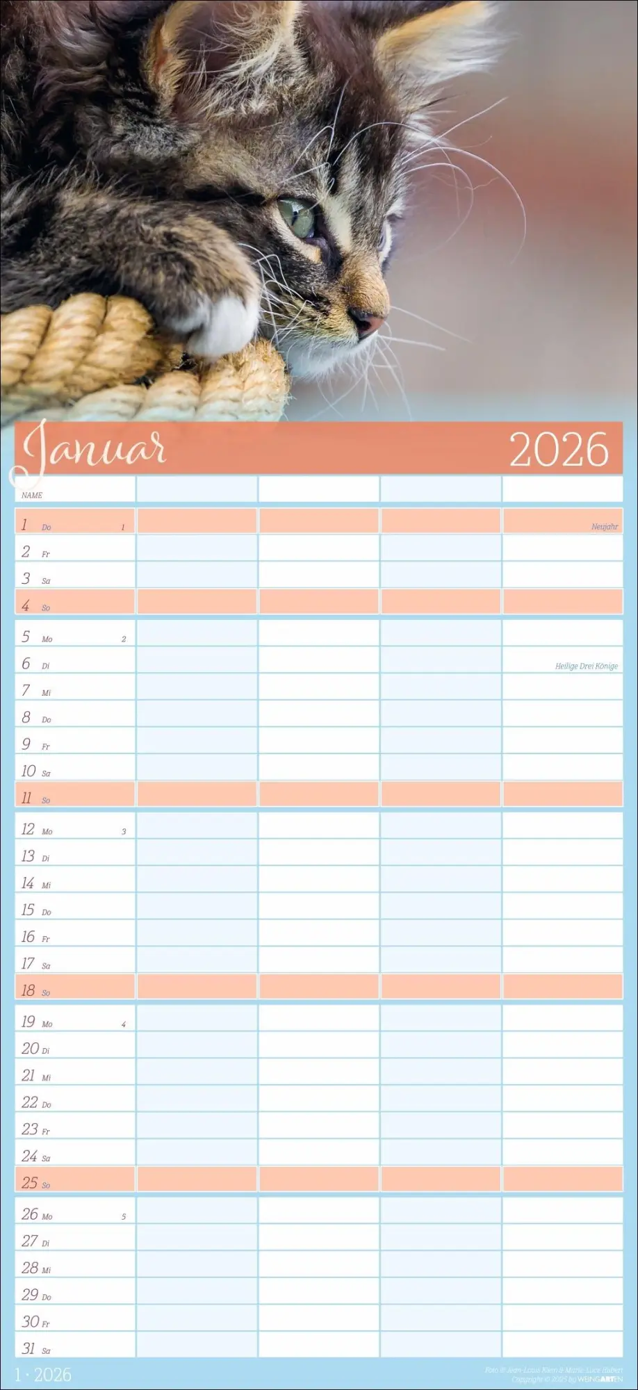 Bild: 9783839902127 | Cool Cats Familienplaner 2026 | Marie-Luce Hubert | Kalender | 15 S.