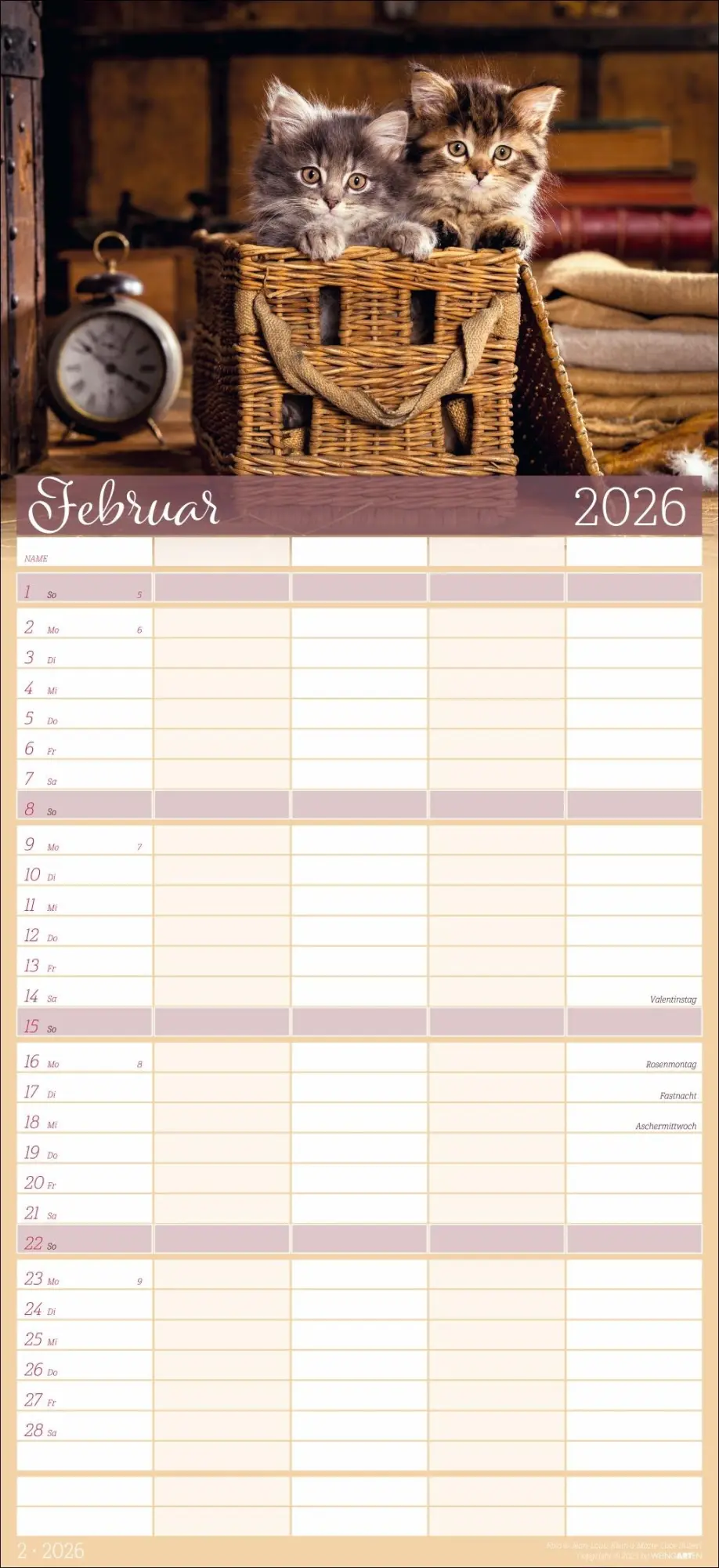 Bild: 9783839902127 | Cool Cats Familienplaner 2026 | Marie-Luce Hubert | Kalender | 15 S.