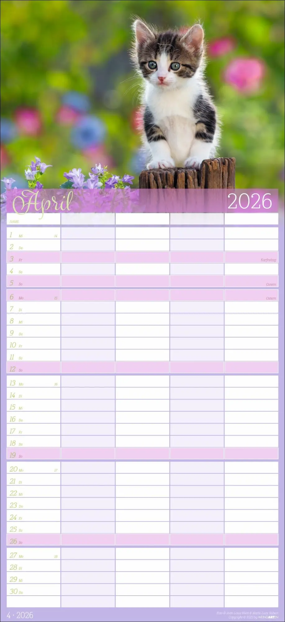 Bild: 9783839902127 | Cool Cats Familienplaner 2026 | Marie-Luce Hubert | Kalender | 15 S.