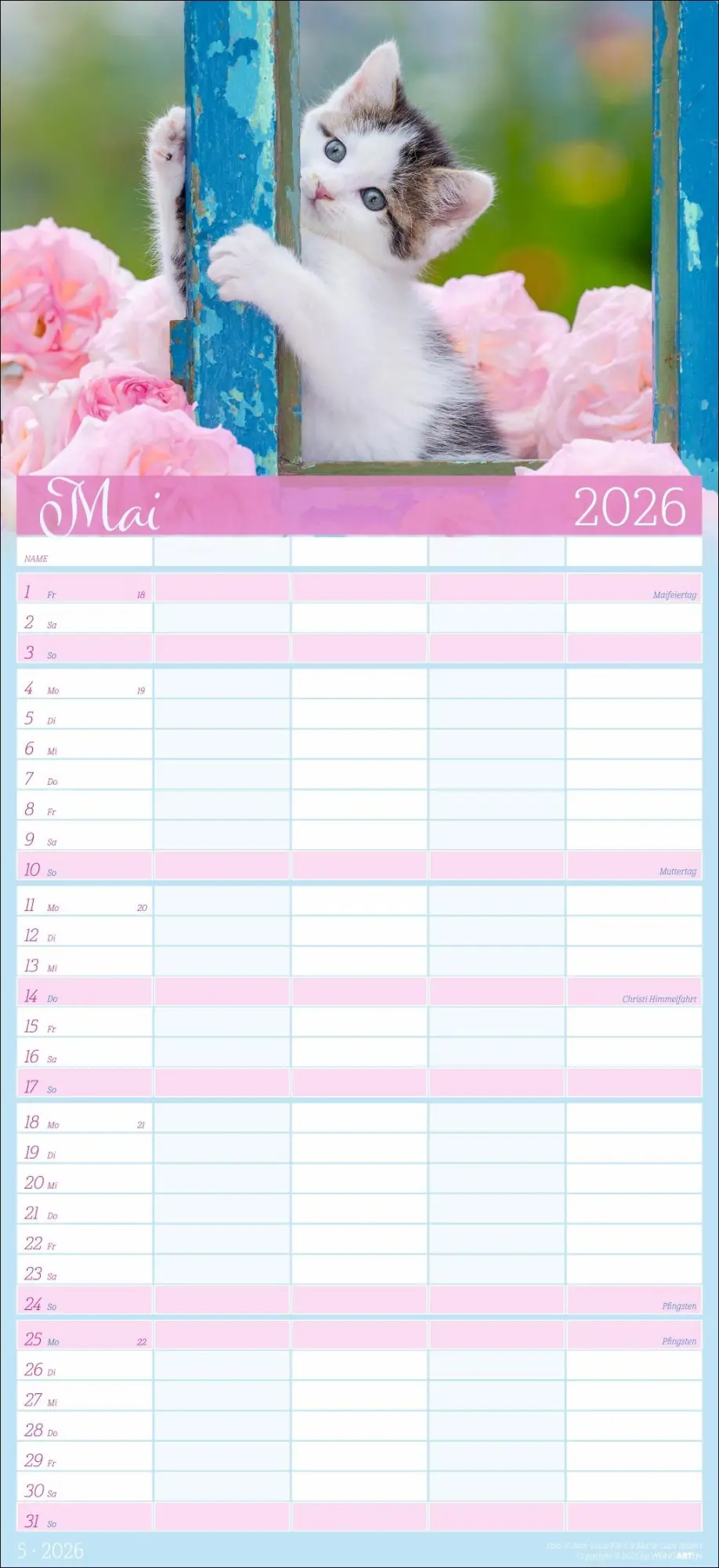 Bild: 9783839902127 | Cool Cats Familienplaner 2026 | Marie-Luce Hubert | Kalender | 15 S.