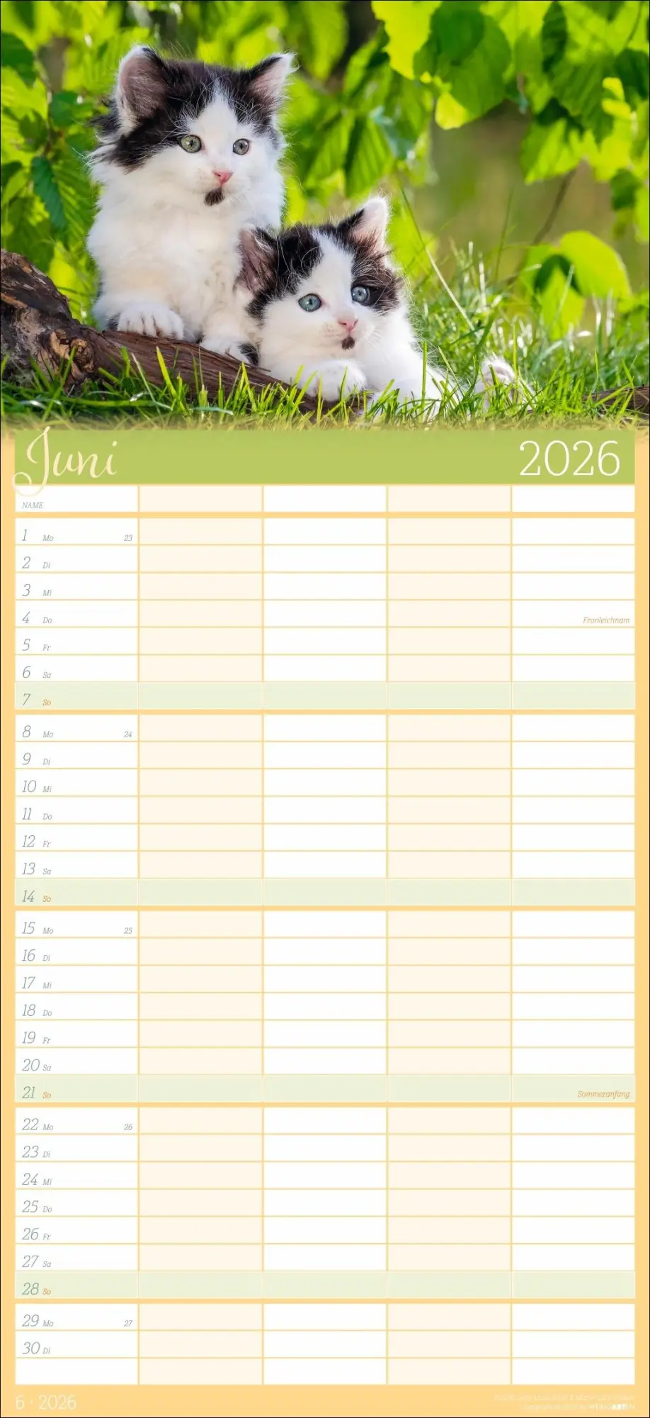 Bild: 9783839902127 | Cool Cats Familienplaner 2026 | Marie-Luce Hubert | Kalender | 15 S.