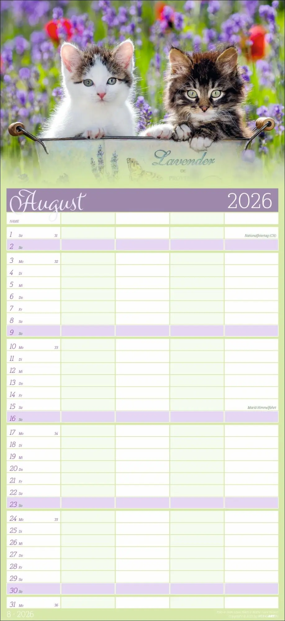 Bild: 9783839902127 | Cool Cats Familienplaner 2026 | Marie-Luce Hubert | Kalender | 15 S.