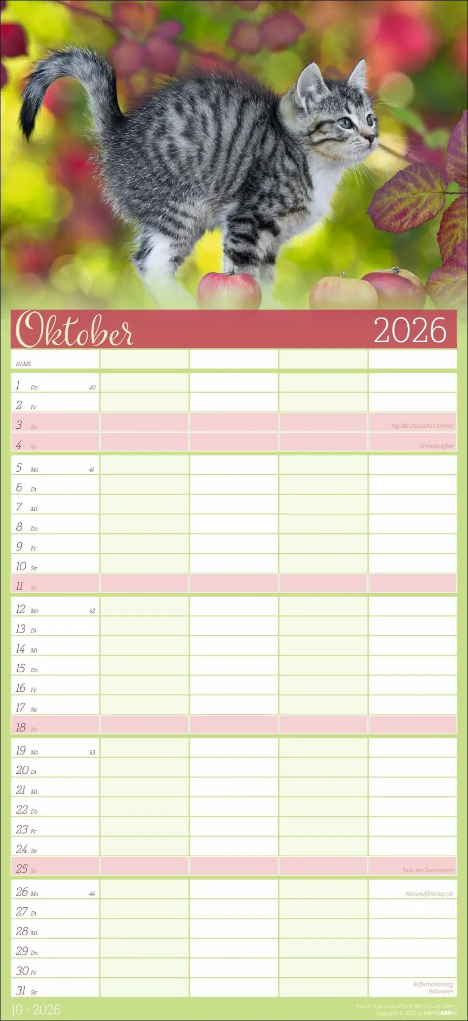 Bild: 9783839902127 | Cool Cats Familienplaner 2026 | Marie-Luce Hubert | Kalender | 15 S.