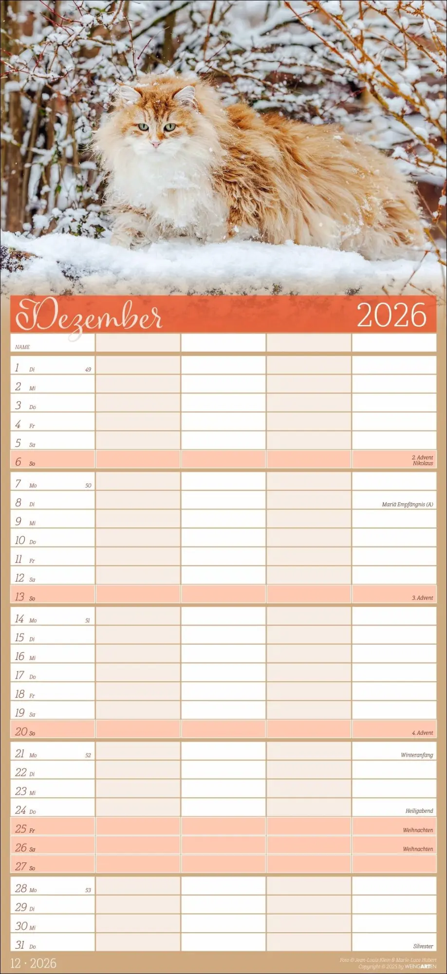 Bild: 9783839902127 | Cool Cats Familienplaner 2026 | Marie-Luce Hubert | Kalender | 15 S.