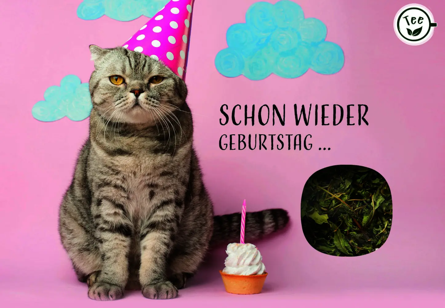 Schon wieder Geburtstag ...