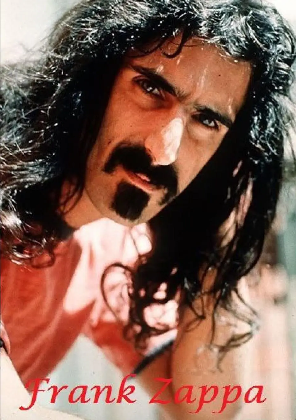 Cover: 9780244272227 | Frank Zappa | Harry Lime | Taschenbuch | Englisch | 2020 | Lulu Press