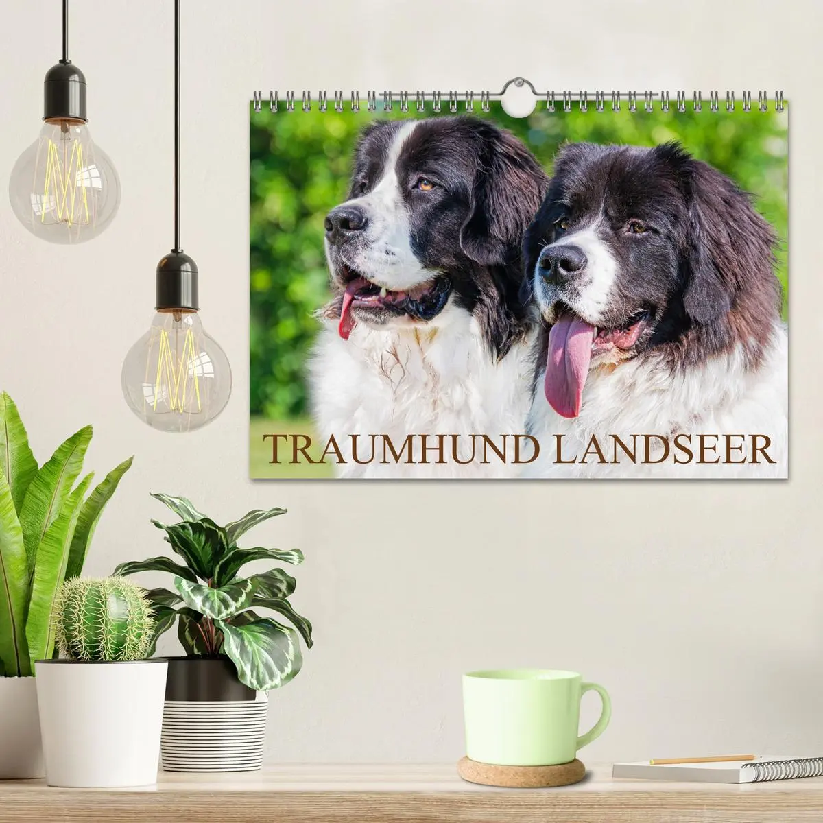 Bild: 9783457372227 | Traumhund Landseer (Wandkalender 2026 DIN A4 quer), CALVENDO...