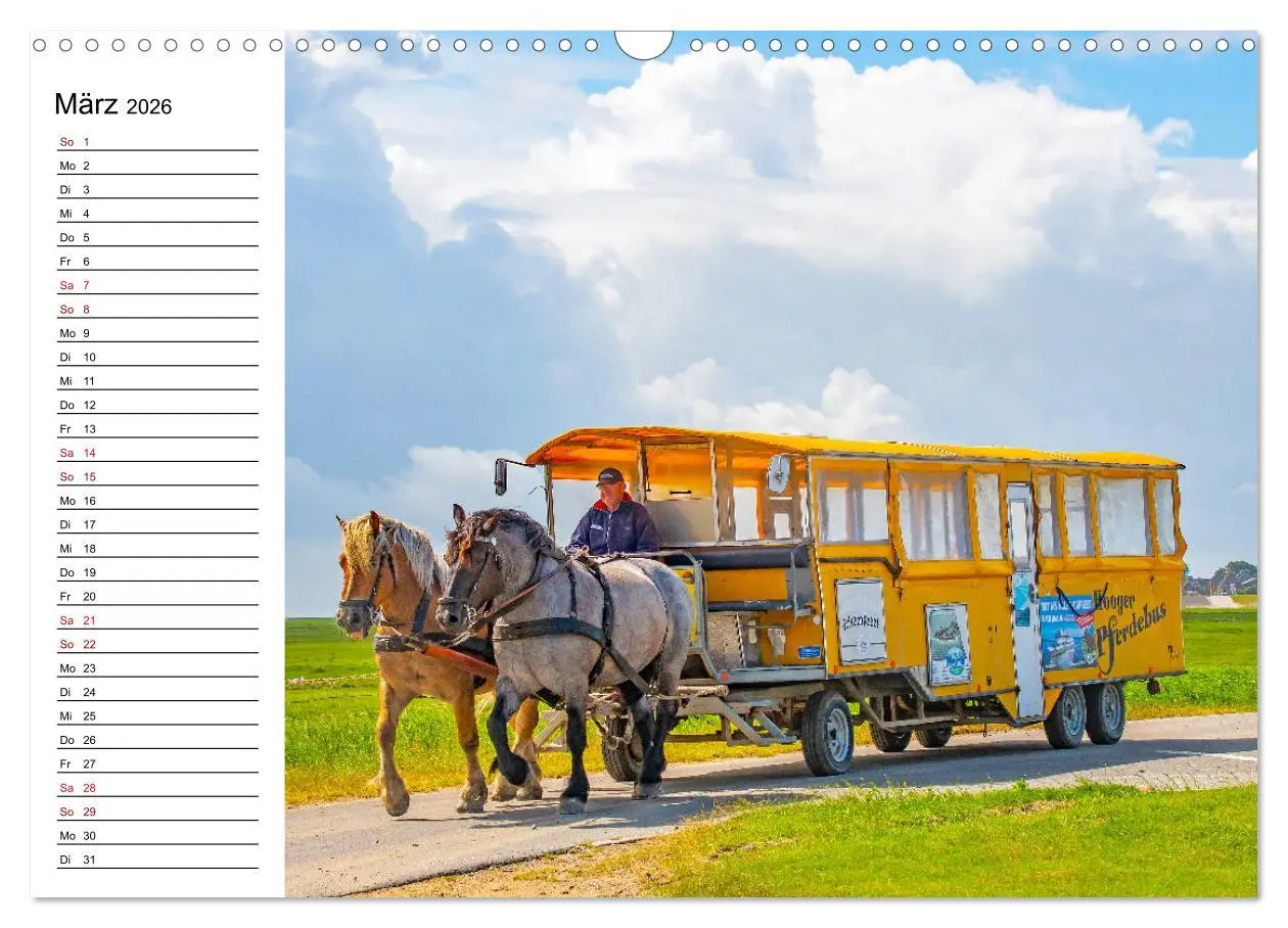 Bild: 9783457682227 | Hallig Hooge - Romantik Pur (Wandkalender 2026 DIN A3 quer),...