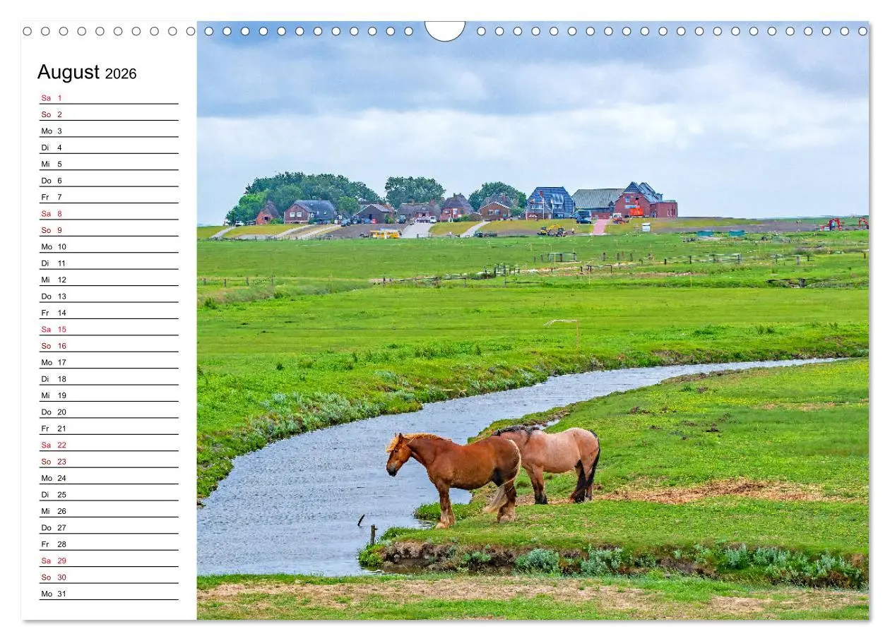 Bild: 9783457682227 | Hallig Hooge - Romantik Pur (Wandkalender 2026 DIN A3 quer),...
