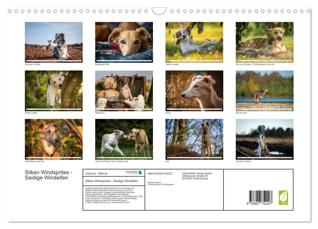 Bild: 9783457752227 | Silken Windsprites - Seidige Windelfen (Wandkalender 2026 DIN A3...