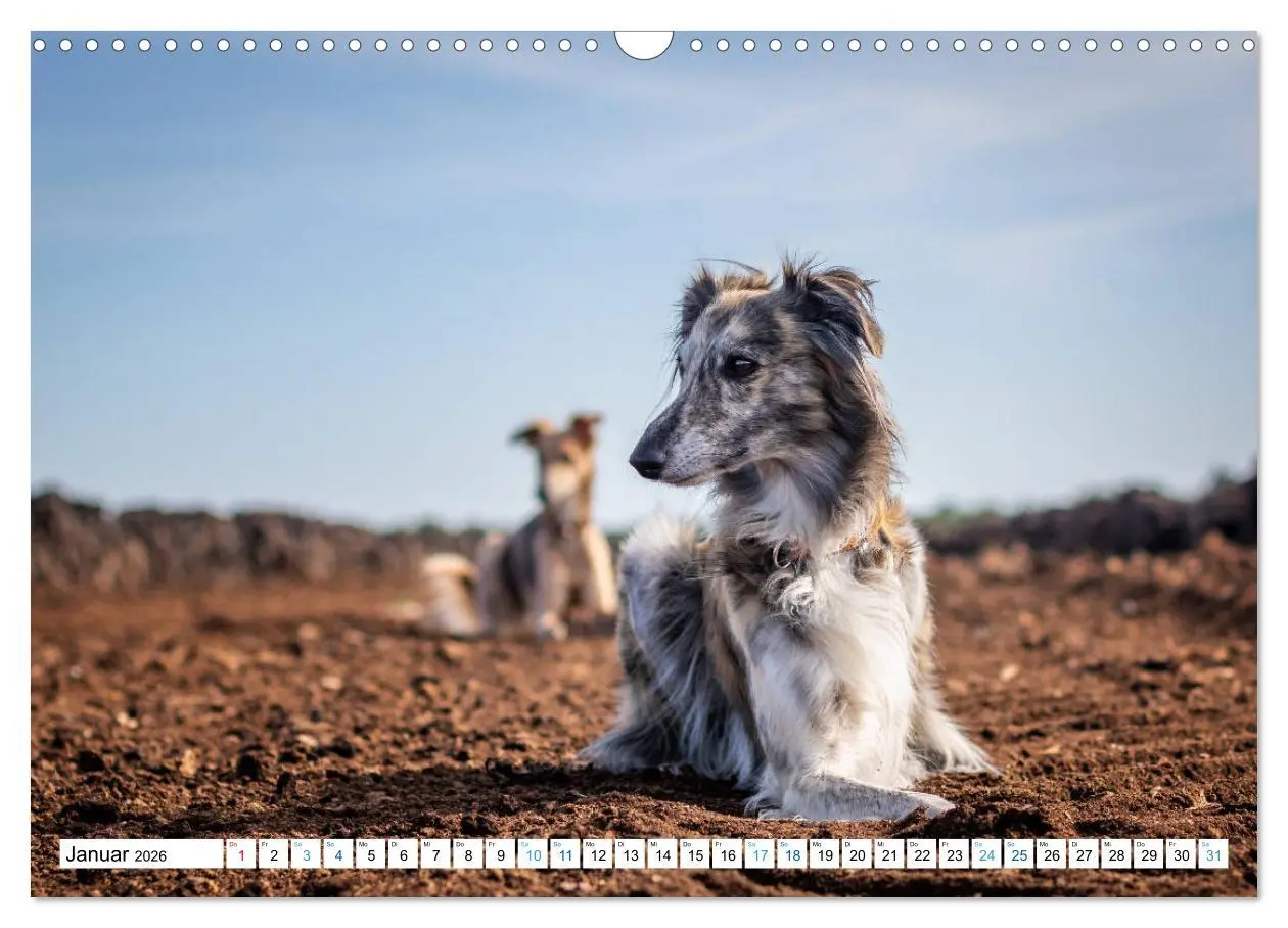 Bild: 9783457752227 | Silken Windsprites - Seidige Windelfen (Wandkalender 2026 DIN A3...