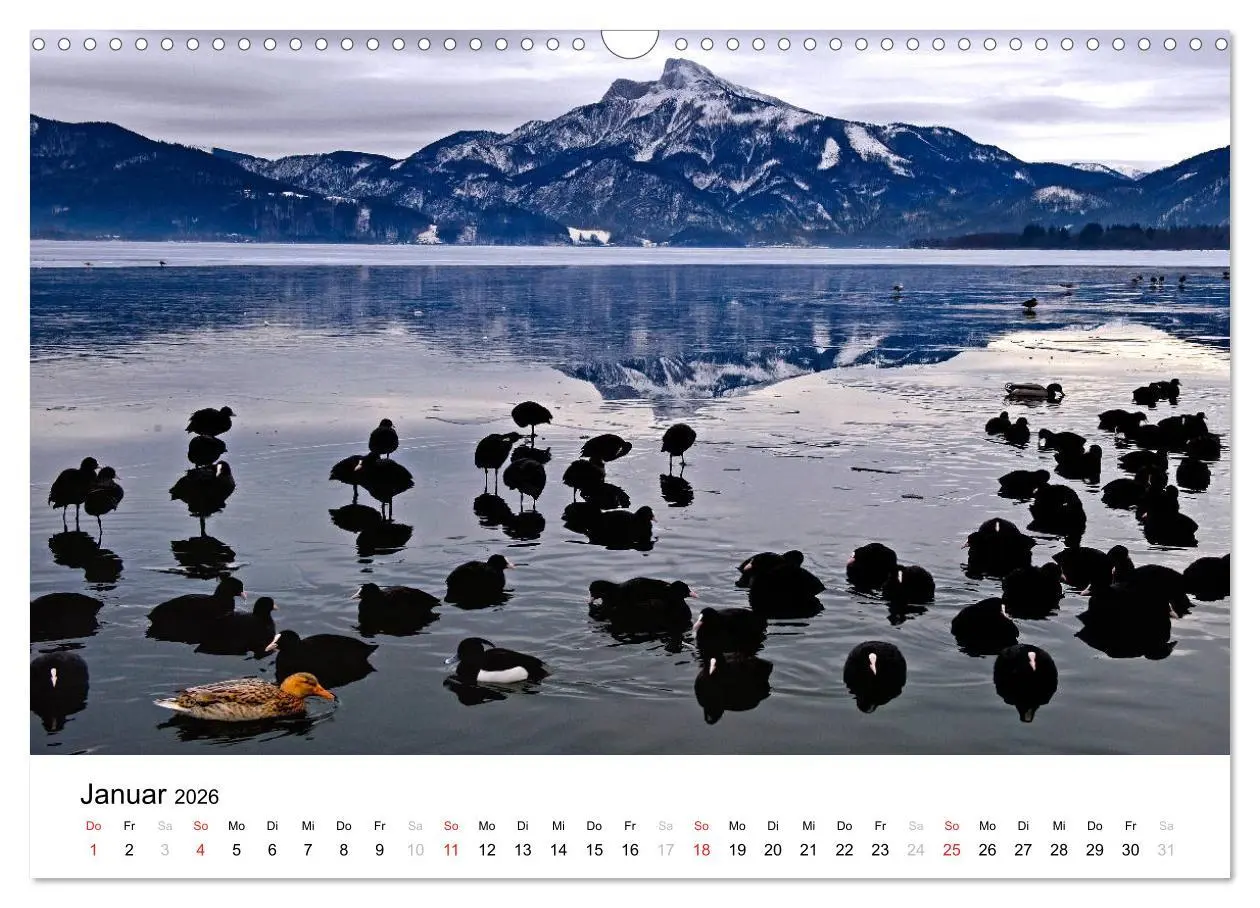 Bild: 9783457822227 | Zauberhaftes Mondseeland (Wandkalender 2026 DIN A3 quer), CALVENDO...