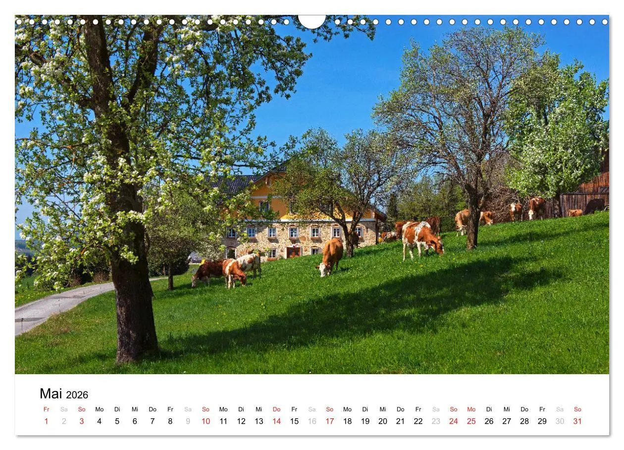 Bild: 9783457822227 | Zauberhaftes Mondseeland (Wandkalender 2026 DIN A3 quer), CALVENDO...